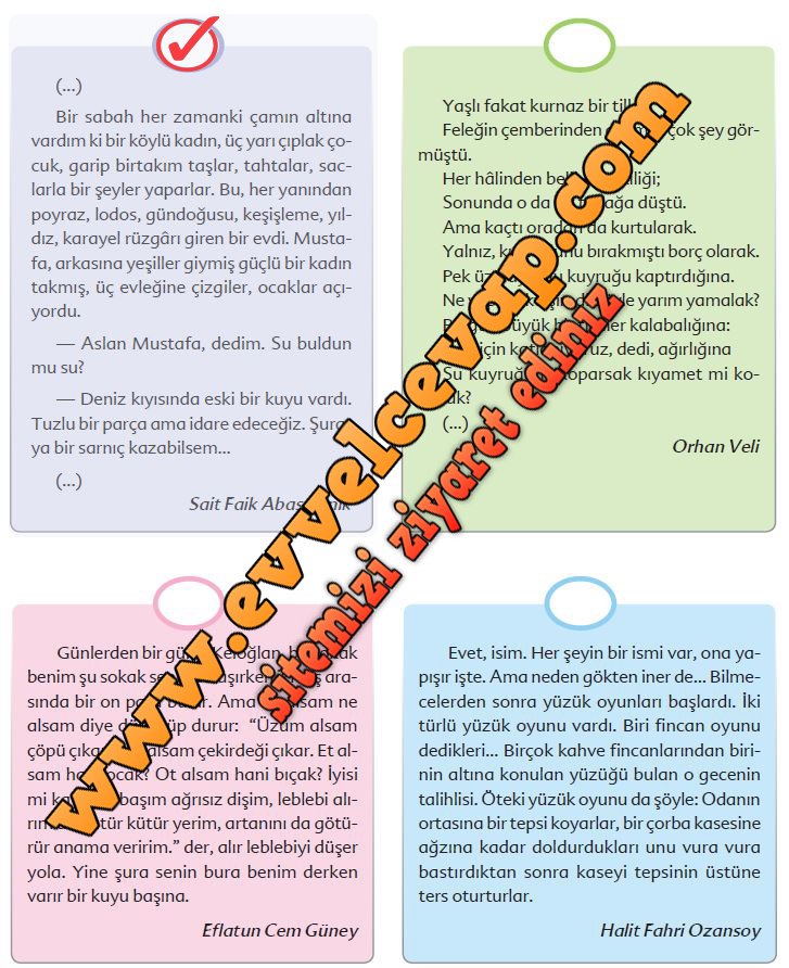  6. Sınıf Türkçe Ders Kitabı Ekoyay Yayınları Sayfa 88 Cevabı