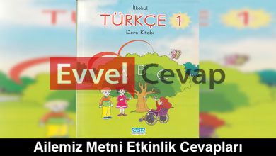 Ailemiz Metni Etkinlik Cevapları (1. Sınıf Türkçe)