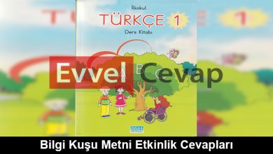 Bilgi Kuşu Metni Etkinlik Cevapları (1. Sınıf Türkçe)