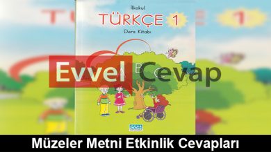 Müzeler Metni Etkinlik Cevapları (1. Sınıf Türkçe)