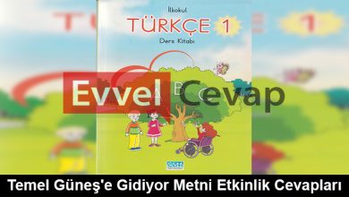 Temel Güneş'e Gidiyor Metni Etkinlik Cevapları (1. Sınıf Türkçe)