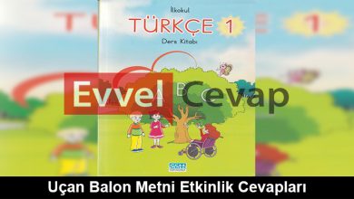 Uçan Balon Metni Etkinlik Cevapları (1. Sınıf Türkçe)