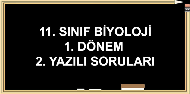 11. Sınıf Biyoloji 1. Dönem 2. Yazılı Soruları