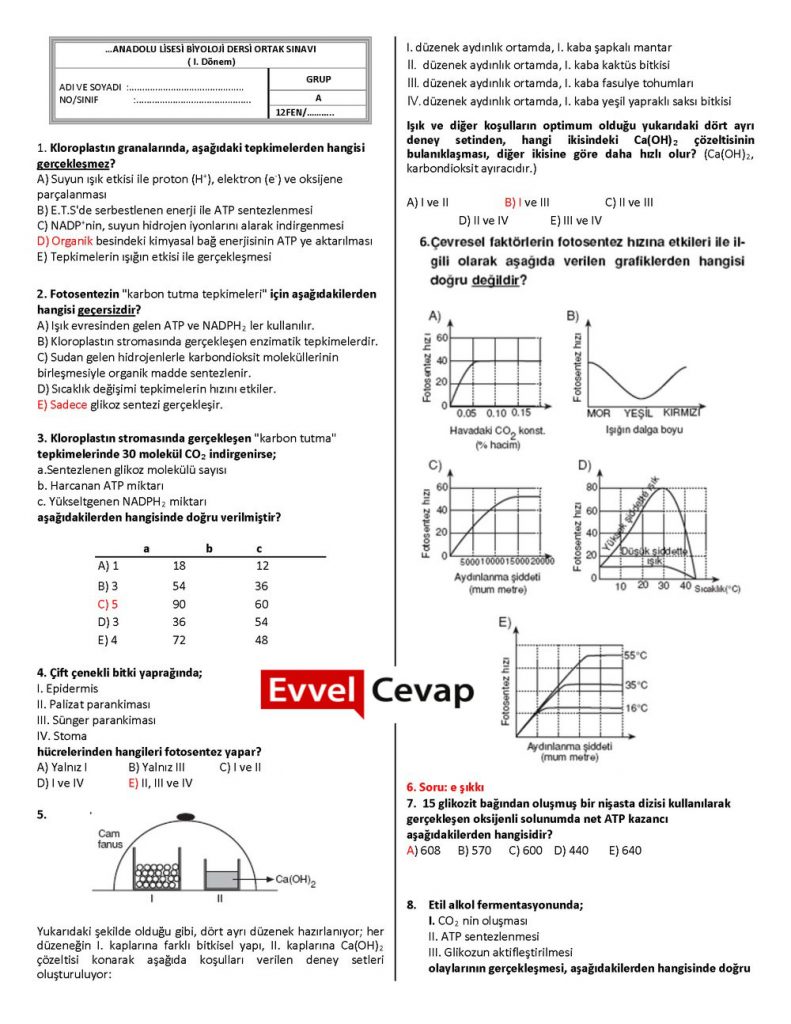 12. Sınıf Biyoloji 1. Dönem 2. Yazılı Soruları