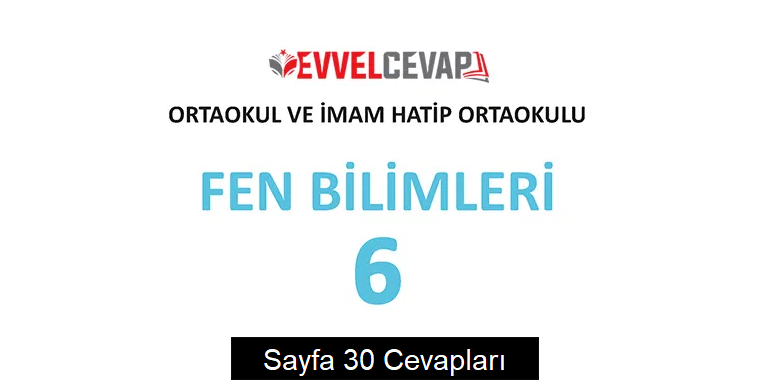 6. Sınıf Meb Yayınları Fen Bilimleri Ders Kitabı Sayfa 30 Cevapları 