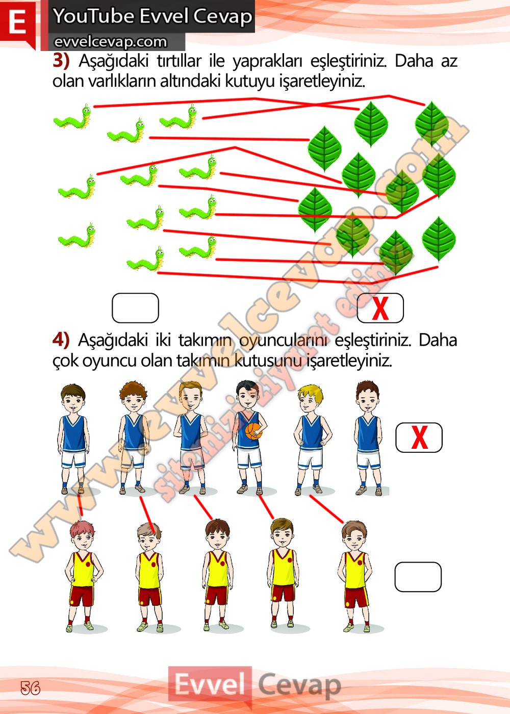 1. Sınıf Matematik Meb Yayınları Çalışma Kitabı Cevapları Sayfa 56