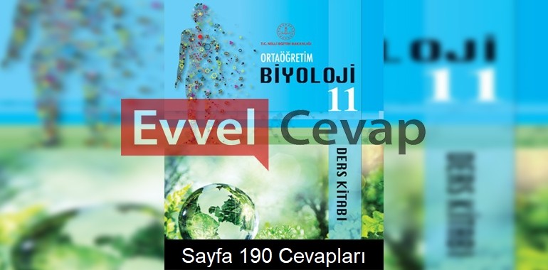 11. Sınıf Biyoloji Meb Yayınları Ders Kitabı Cevapları Sayfa 190