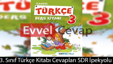 3. Sınıf Türkçe Ders Kitabı Cevapları SDR İpekyolu Yayınları