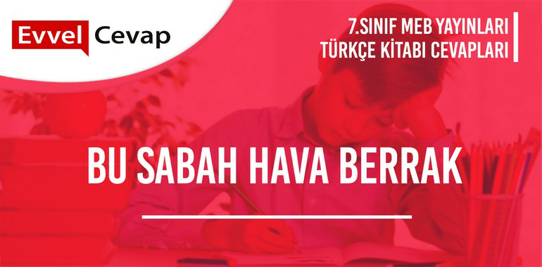 7. Sınıf Türkçe Ders Kitabı Sayfa 203-204-205-206-207 Cevapları Meb Yayınları