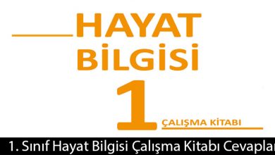 1. Sınıf Meb Yayınları Hayat Bilgisi Çalışma Kitabı Cevapları