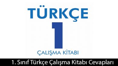 1. Sınıf Meb Yayınları Türkçe Çalışma Kitabı Cevapları