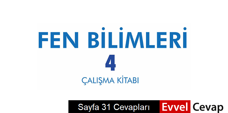 4. Sınıf Fen Bilimleri Çalışma Kitabı Sayfa 31 Cevapları 