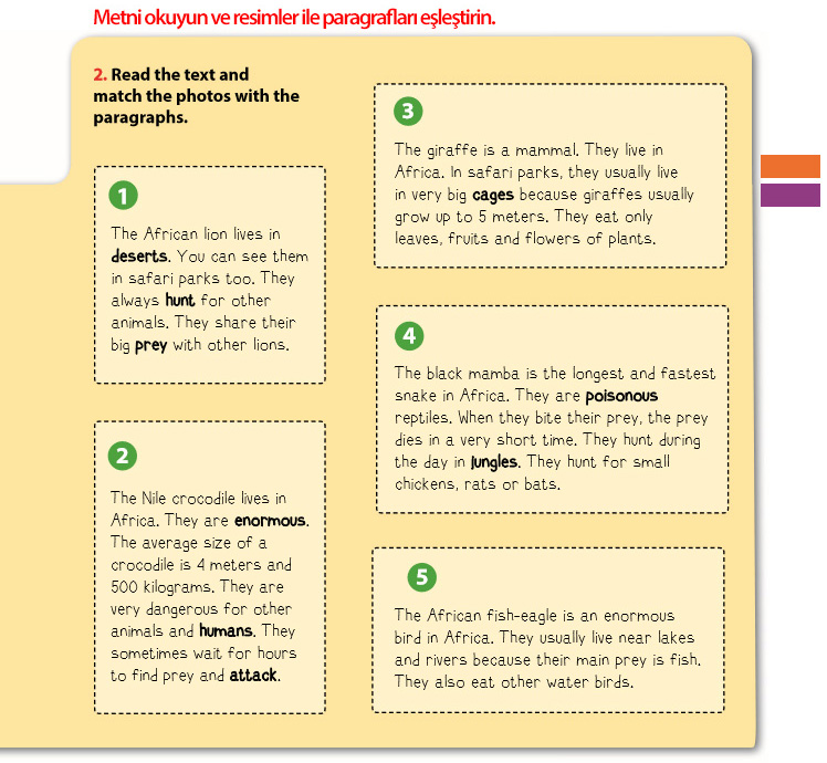 Read the text and match paragraphs. Match the photos with the paragraph (1-5).