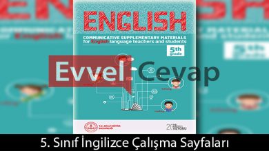 5. Sınıf İngilizce Çalışma Sayfaları Kitabı Cevapları