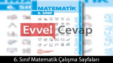 6. Sınıf Matematik Çalışma Sayfaları Kitabı Cevapları