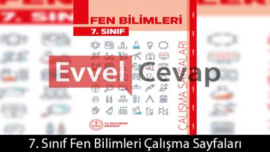 7. Sınıf Fen Bilimleri Çalışma Sayfaları Kitabı Cevapları