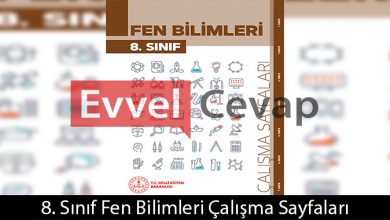 8. Sınıf Fen Bilimleri Çalışma Sayfaları Kitabı Cevapları