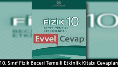 10. Sınıf Fizik Beceri Temelli Etkinlik Kitabı Cevapları