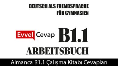 Almanca b1-1 Meb Yayınları Çalışma Kitabı Cevapları