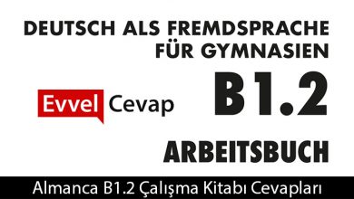 Almanca b1-2 Meb Yayınları Çalışma Kitabı Cevapları