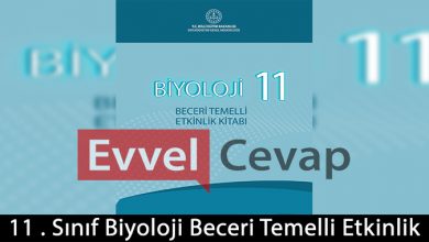 11. Sınıf Biyoloji Beceri Temelli Etkinlik Kitabı Cevapları