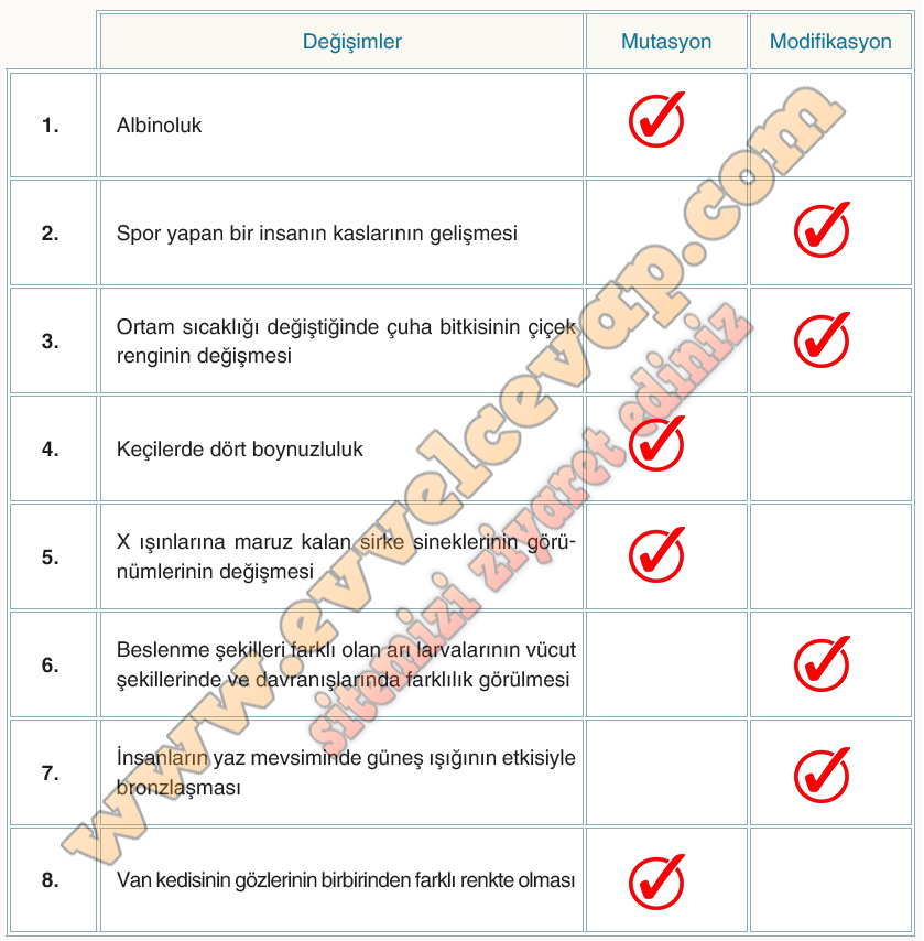 8. Sınıf Fen Bilimleri Ders Kitabı Adım Adım Sayfa 47-48-49-50-51 Cevapları