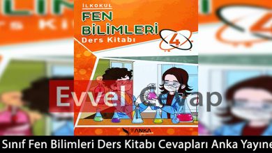 4. Sınıf Fen Bilimleri Ders Kitabı Cevapları Anka Yayınevi