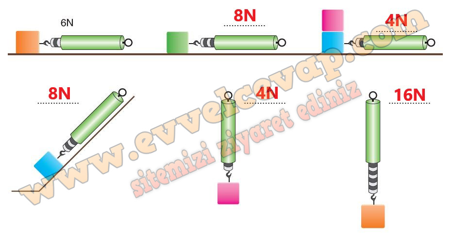 5 Sinif Fen Bilimleri Sdr Dikey Yayincilik Ders Kitabi Cevaplari Sayfa 63