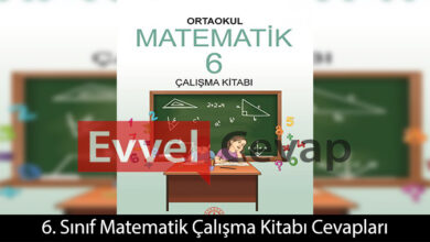 6. Sınıf Matematik Çalışma Kitabı Cevapları Meb Yayınları