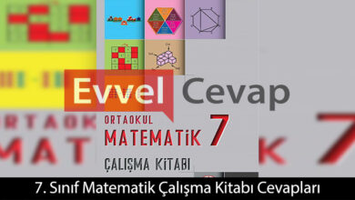 7. Sınıf Matematik Çalışma Kitabı Cevapları Meb Yayınları