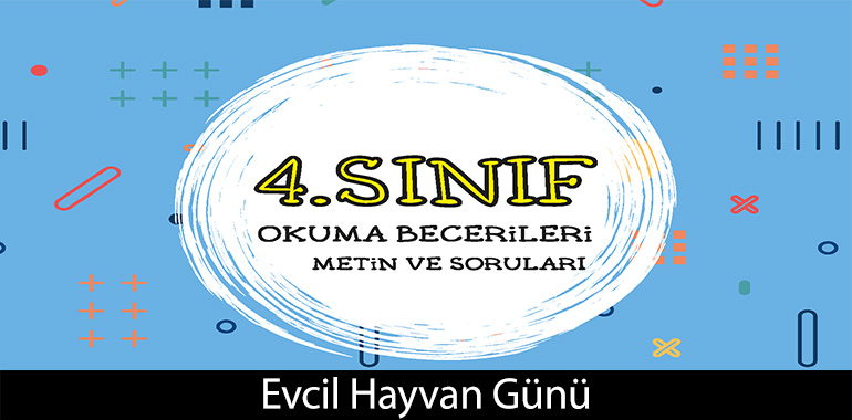 Evcil Hayvan Günü Cevapları