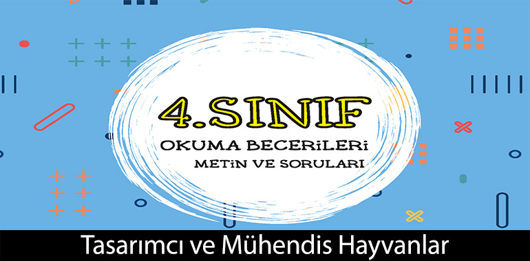 Tasarımcı ve Mühendis Hayvanlar Cevapları