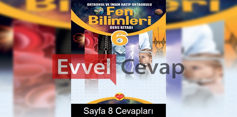 6. Sınıf Fen Bilimleri Ders Kitabı Cevapları Sevgi Yayınları Sayfa 8 