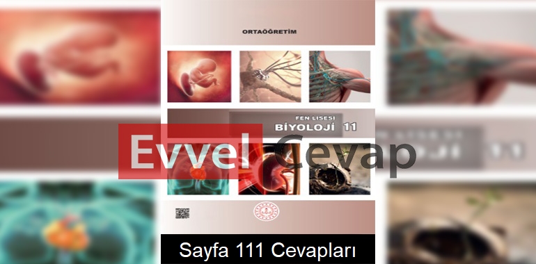 11. Sınıf Fen Lisesi Biyoloji Ders Kitabı Cevapları Sayfa 111 