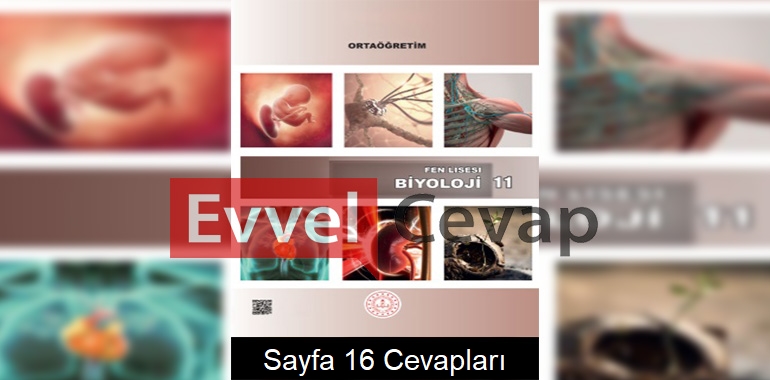 11. Sınıf Fen Lisesi Biyoloji Ders Kitabı Cevapları Sayfa 16 