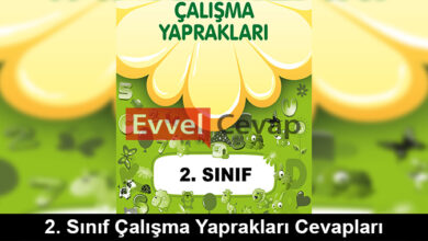 2. Sınıf Çalışma Yaprakları Cevapları