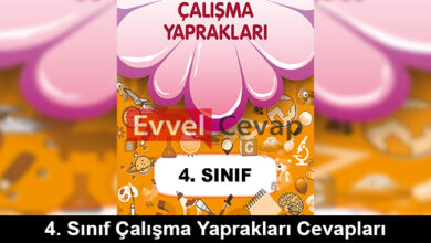 4. Sınıf Çalışma Yaprakları Cevapları