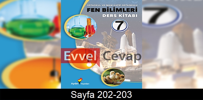 7. Sınıf Aydın Yayınları Fen Bilimleri Ders Kitabı Cevapları Sayfa 202-203