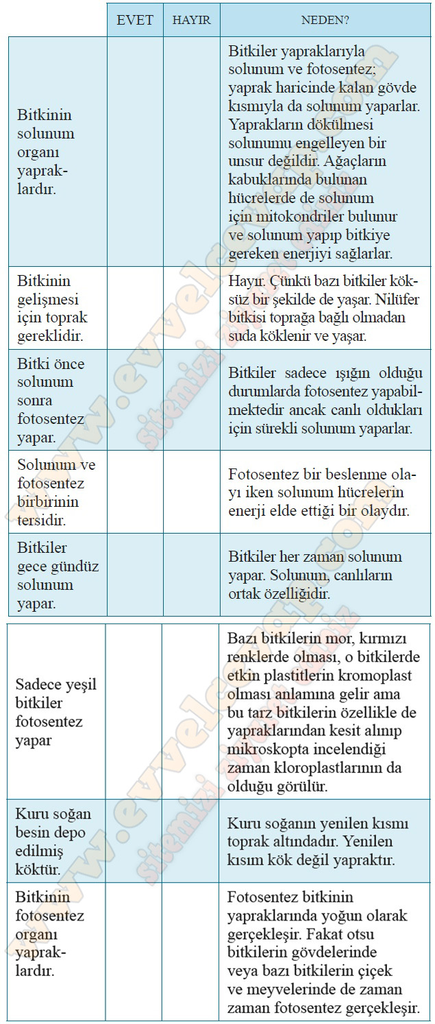 9. Sınıf Biyoloji Kavram Öğretimi Kitabı Cevapları Sayfa 204