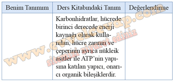 9. Sınıf Biyoloji Kavram Öğretimi Kitabı Cevapları Sayfa 32