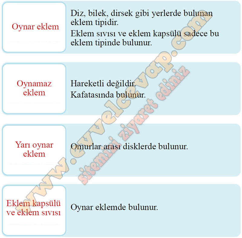 11. Sınıf Biyoloji Kavram Öğretimi Kitabı Cevapları Sayfa 68