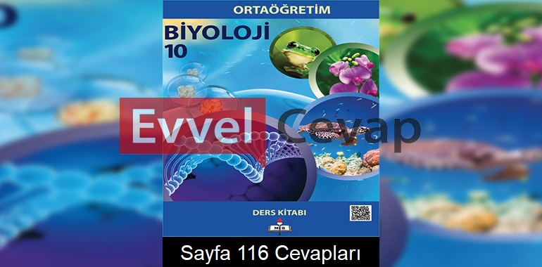 10. Sınıf Biyoloji Meb Yayınları Ders Kitabı Cevapları Sayfa 116 