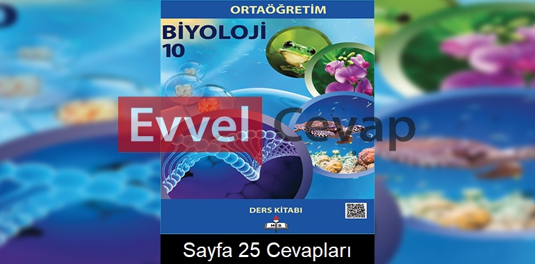 10. Sınıf Biyoloji Meb Yayınları Ders Kitabı Cevapları Sayfa 25 