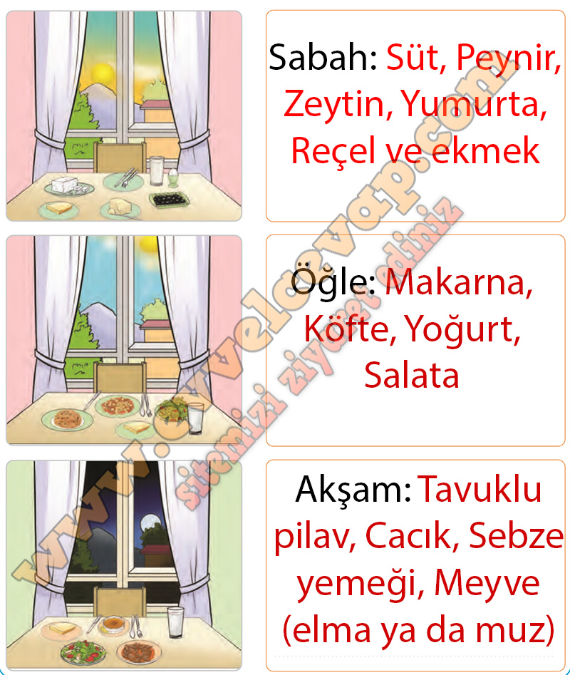 2 sınıf hayat bilgisi ders kitabı sdr dikey yayıncılık cevapları