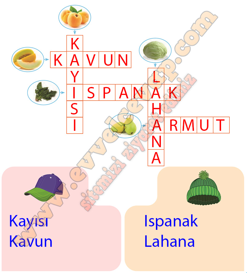 hayat bilgisi ders kitabı 2 sınıf cevapları