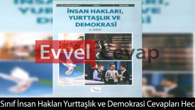 4. Sınıf İnsan Hakları Yurttaşlık ve Demokrasi Kitabı Cevapları Hecce Yayıncılık