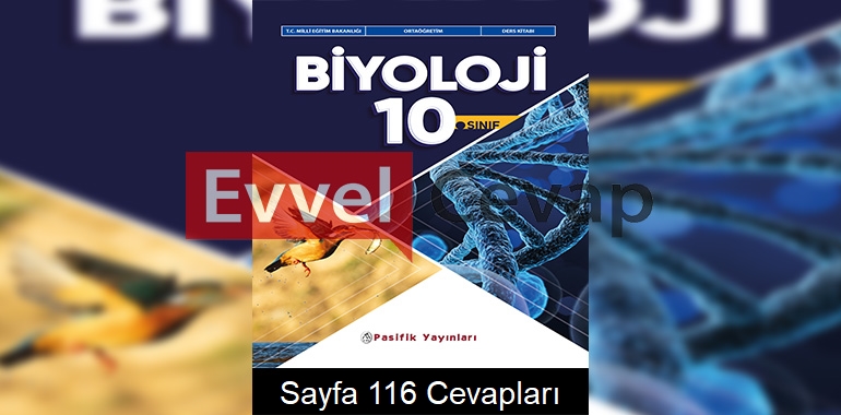 10. Sınıf Biyoloji Ders Kitabı Cevapları Pasifik Yayınları Sayfa 116 