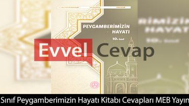 10. Sınıf Peygamberimizin Hayatı Ders Kitabı Cevapları