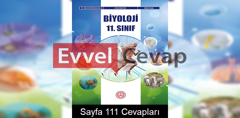 11. Sınıf Biyoloji Kitabı Cevapları Meb Yayınları Sayfa 111