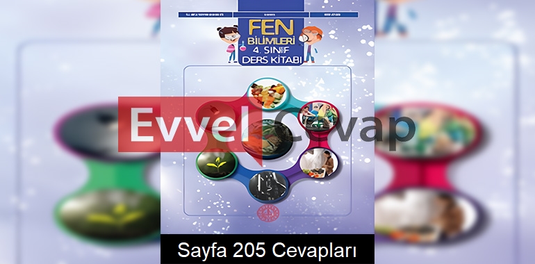 4. Sınıf Fen Bilimleri Ders Kitabı Cevapları Meb Yayınları Sayfa 205